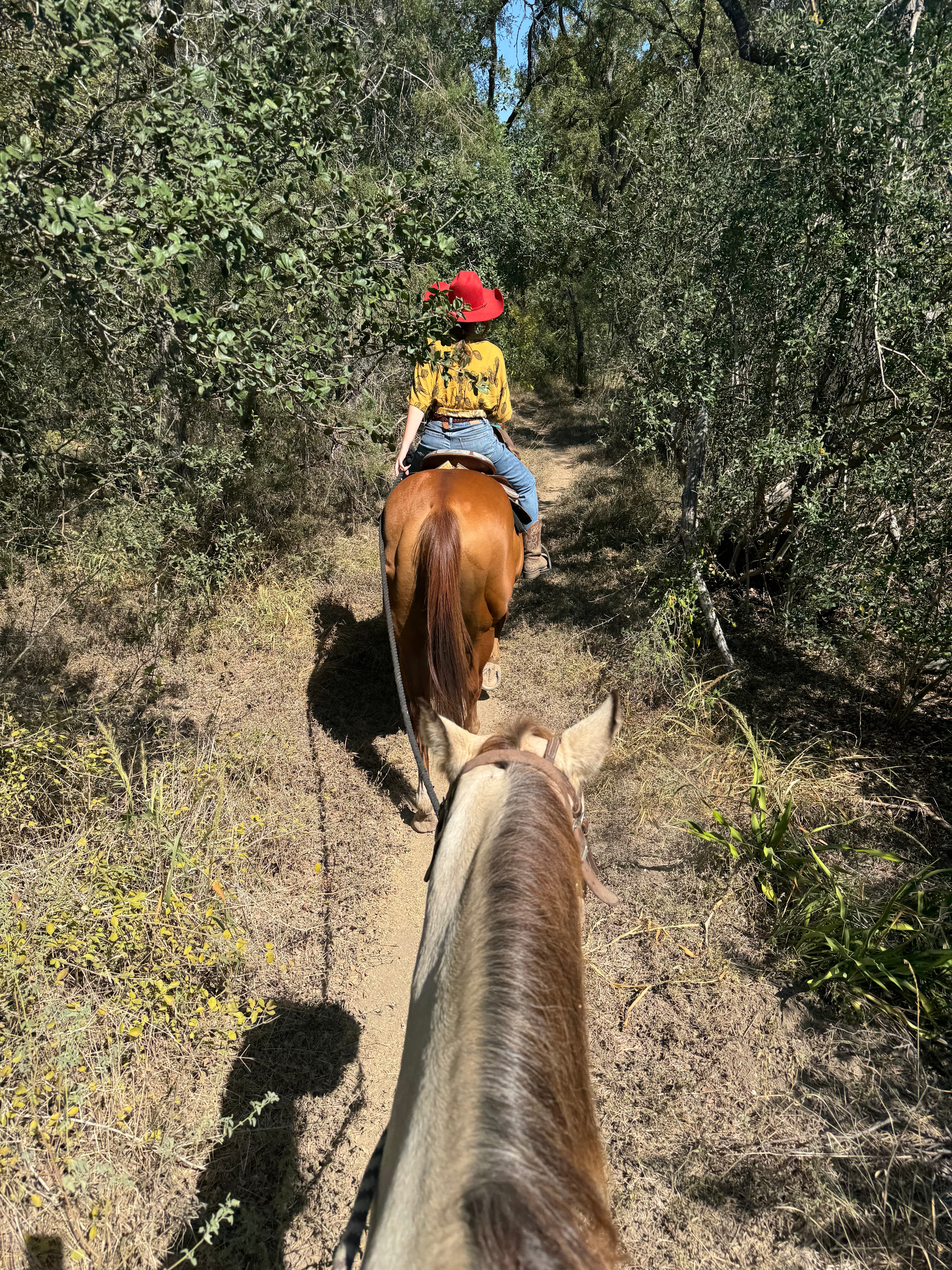 an afternoon spent farther than usual